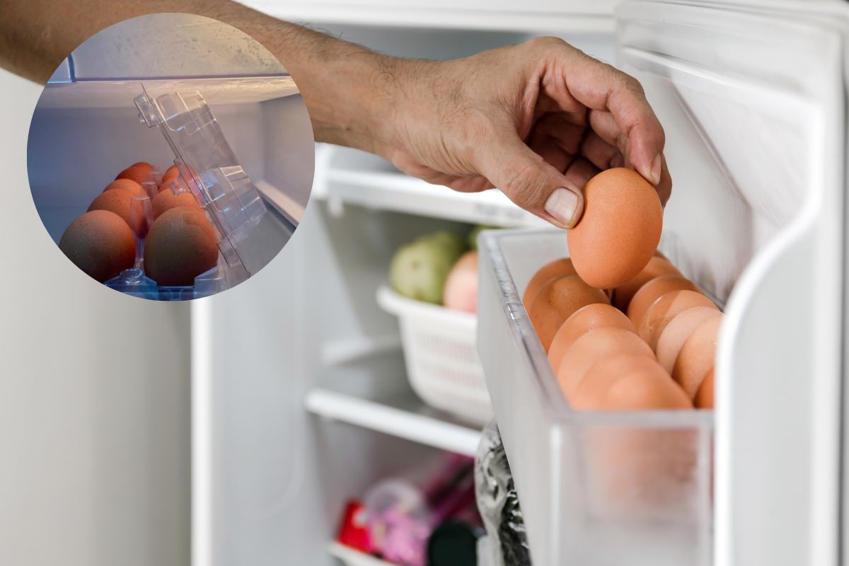 uova in frigo