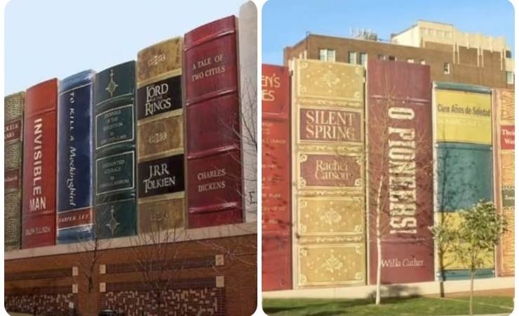 biblioteca nel libro