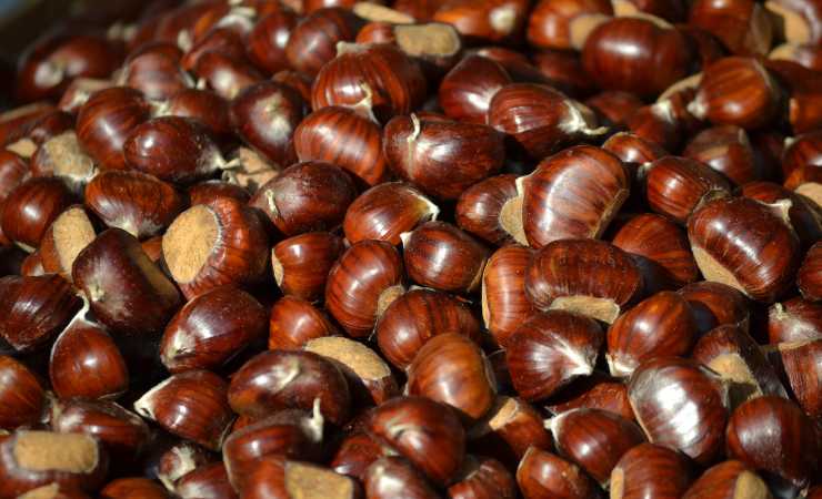 castagne