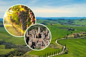 Una campagna toscana e, in evidenza, un grappolo d'uva e il borgo di San Gimignano